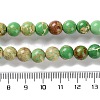 Dyed Natural Regalite/Imperial Jasper/Sea Sediment Jasper Beads Strands G-B124-C01-12-5