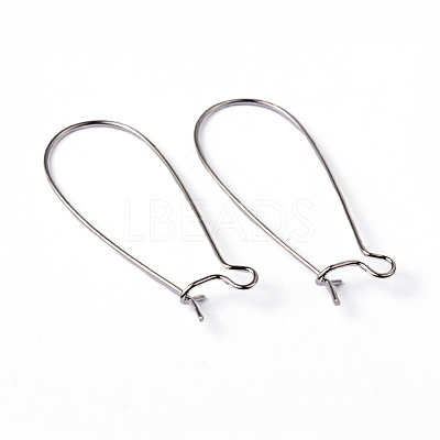 Brass Hoop Earring Wires Hook Earring Making Findings X-EC221-1