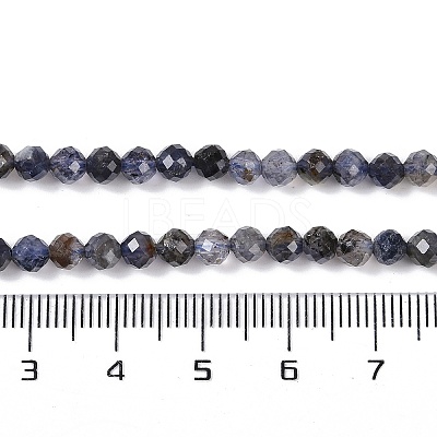 Natural Iolite Beads Strands G-G139-A11-03-1