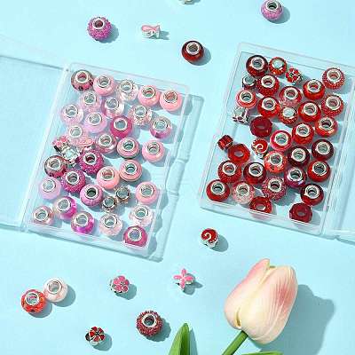 40Pcs 20 Styles Resin & Glass European Beads RPDL-FS0001-03-1