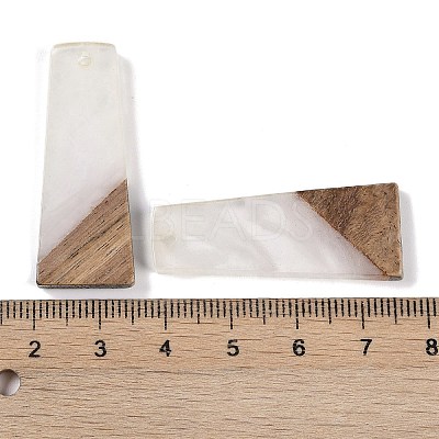 Resin & Wood Pendants WOOD-F015-04D-1