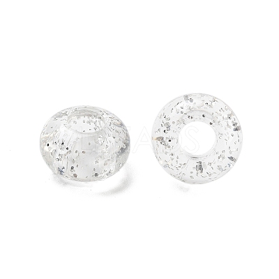 Transparent Acrylic European Beads TACR-P009-A01-01-1