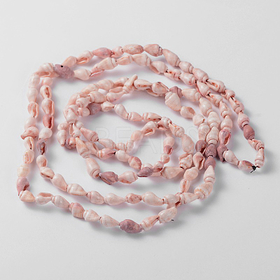 Natural Sea Shell Conch Bead Strands X-BSHE-O009-11-1