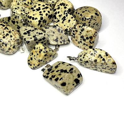Natural Dalmatian Jasper Pendants G-k302-B21-1