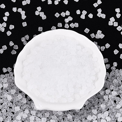 FGB Frosted Transparent Glass Seed Beads SEED-N013-03A-01-1