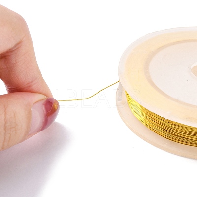 Round Copper Wire for Jewelry Making CWIR-WH0001-0.25mm-05-1