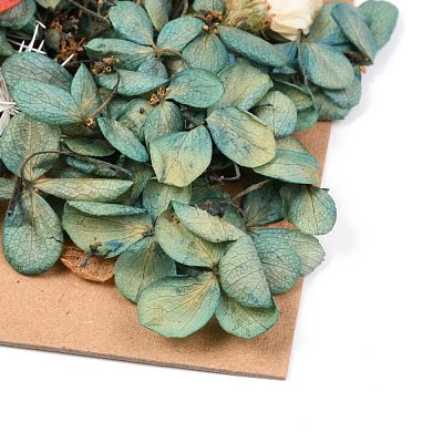 Dried Flower DIY-B018-11-1