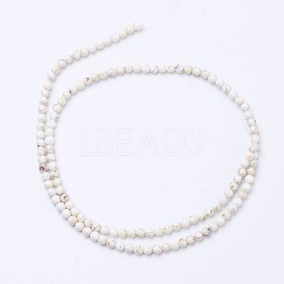 Natural Magnesite Bead Strands X-G-P286-10-3mm-1