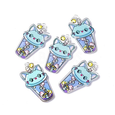 Transparent Printed Acrylic Pendants TACR-G042-01E-1