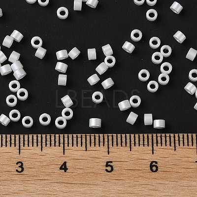 Baking Paint Glass Seed Beads X-SEED-S042-15A-01-1
