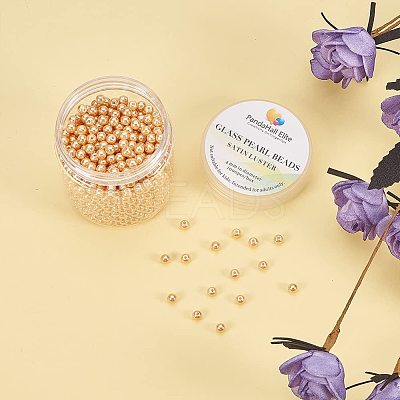 Pearlized Eco-Friendly Dyed Glass Pearl Round Bead HY-PH0002-24-B-1