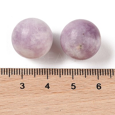 Natural Lepidolite No Hole Sphere Beads G-K353-04D-38-1