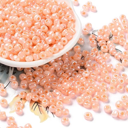 6/0 Glass Seed Beads SEED-XCP0001-19-1