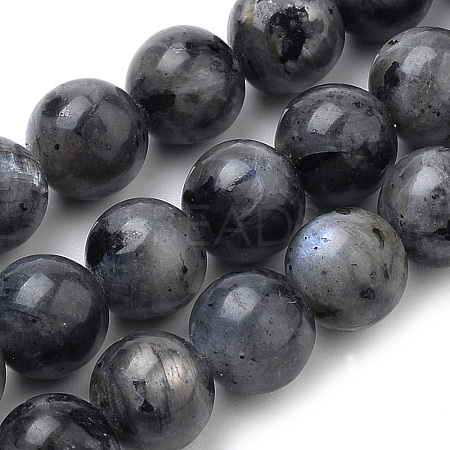 Natural Larvikite Beads Strands X-G-S259-06-12mm-1