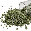 TOHO 11/0 Round Beads X-SEED-TR11-2632F-1
