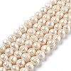 Natural Cultured Freshwater Pearl Beads Strands PEAR-L033-26-01-1