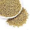 FGB 8/0 Grade A Round Glass Seed Beads X-SEED-N002-C-0561-1