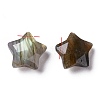 Natural Labradorite Charms X-G-H241-04C-2