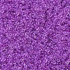 MIYUKI Round Rocailles Beads X-SEED-G007-RR2202-3