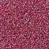 MIYUKI Delica Beads SEED-X0054-DB1338-3
