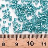 Glass Bugle Beads SEED-S032-11A-120A-4
