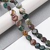 Natural Indian Agate Beads Strands G-K359-C14-01-2