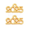 Rack Plating Alloy Pendants PALLOY-S190-06G-05-1
