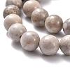 Natural Maifanite/Maifan Stone Beads Strands X-G-I187-8mm-01-8