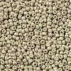 TOHO 11/0 Round Beads X-SEED-TR11-0558F-2