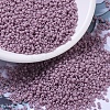 MIYUKI Round Rocailles Beads X-SEED-G007-RR2024-1