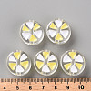 Transparent Enamel Acrylic Beads TACR-S155-005D-4