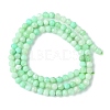 Natural Chrysoprase Beads Strands G-F748-X01-03A-3