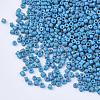 Glass Cylinder Beads SEED-Q036-01A-D06-3