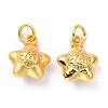 Brass Charms ZIRC-I054-29-1