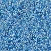 MIYUKI Round Rocailles Beads SEED-JP0010-RR0221-3