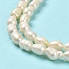Natural Cultured Freshwater Pearl Beads Strands PEAR-E016-166-4