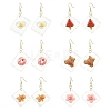 Resin Dangle Earrings EJEW-JE06292-2