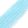 Electroplate Glass Beads Strands EGLA-A034-J8mm-L06-1