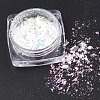 Holographic Chunky Glitter Nail Art Pigment Dust MRMJ-S015-009C-1