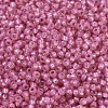 MIYUKI Round Rocailles Beads SEED-JP0008-RR0556-3