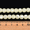 Baking Paint Glass Beads Strands DGLA-N015-8mm-08-4