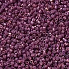 MIYUKI Delica Beads Small X-SEED-J020-DBS1016-2