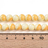 Baking Paint Glass Beads Strands DGLA-N012-8mm-03-4
