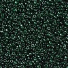 MIYUKI Round Rocailles Beads SEED-JP0008-RR0156-3