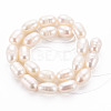 Natural Cultured Freshwater Pearl Beads Strands X-PEAR-S012-41D-2