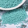 MIYUKI Delica Beads SEED-X0054-DB1586-1