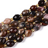 Natural Petrified Wood Beads Strands G-N342-35-8x6-07-2
