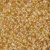 12/0 Glass Seed Beads X1-SEED-A007-2mm-162-2