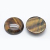 Natural Tiger Eye Cabochons G-E492-A-06-2