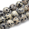 Natural Dalmatian Jasper Beads Strands X-G-S259-24-8mm-1